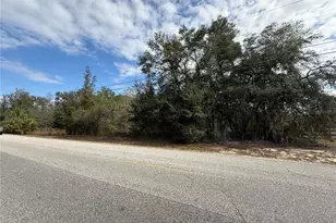 SE 92nd Ct, Belleview, FL 34420 - Photo 1
