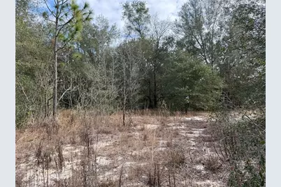 Se 92nd Court, Belleview, FL 34420 - Photo 8