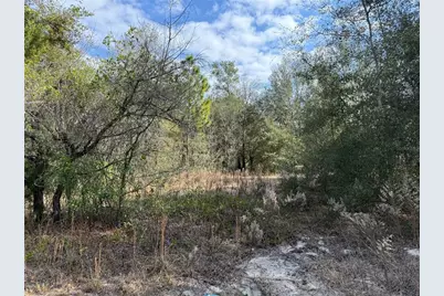 Se 92nd Court, Belleview, FL 34420 - Photo 6