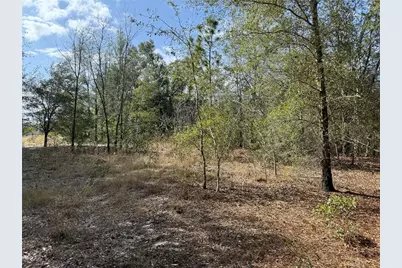 Se 92nd Court, Belleview, FL 34420 - Photo 1