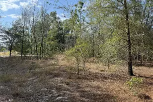 SE 92nd Ct, Belleview, FL 34420 - Photo 1