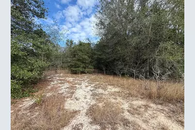 Se 92nd Court, Belleview, FL 34420 - Photo 4