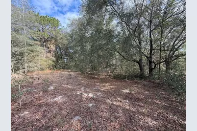 Se 92nd Court, Belleview, FL 34420 - Photo 10