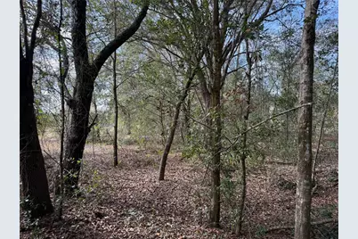 Se 92nd Court, Belleview, FL 34420 - Photo 12