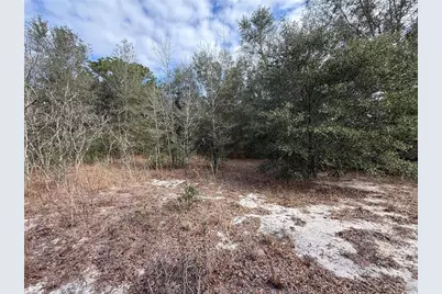 Se 92nd Court, Belleview, FL 34420 - Photo 10