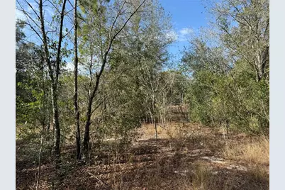 Se 92nd Court, Belleview, FL 34420 - Photo 12