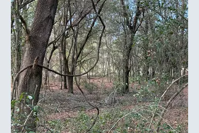 Se 92nd Court, Belleview, FL 34420 - Photo 8