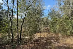 SE 92nd Ct, Belleview, FL 34420 - Photo 1