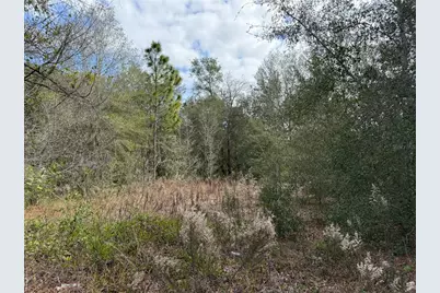 Se 92nd Court, Belleview, FL 34420 - Photo 8