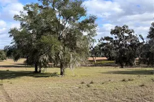 Tbd NW 127 Ct, Ocala, FL 34482 - Photo 1