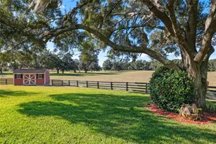 10880 NW 160th Ave, Morriston, FL 32668 - Photo 8