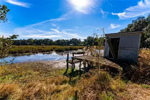24971 NE 135th St, Salt Springs, FL 32134 - Photo 1