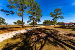 24971 NE 135th St, Salt Springs, FL 32134 - Photo 8