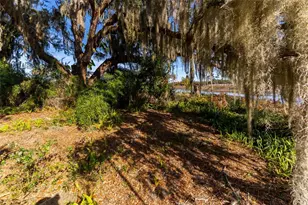 24971 NE 135th St, Salt Springs, FL 32134 - Photo 14