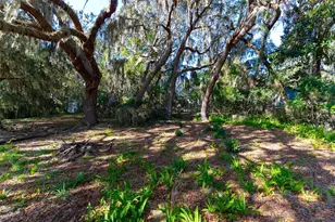 24971 NE 135th St, Salt Springs, FL 32134 - Photo 16