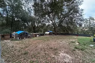 10095 SE 162nd Ct, Ocklawaha, FL 32179 - Photo 12