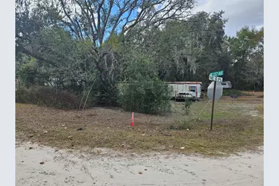 15950 NE 4th Place, Williston, FL 32696 - Photo 1