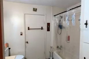 11299 SE 189th Ave, Ocklawaha, FL 32179 - Photo 10