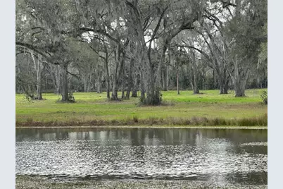 Tbd NW 160th Street, Reddick, FL 32686 - Photo 1