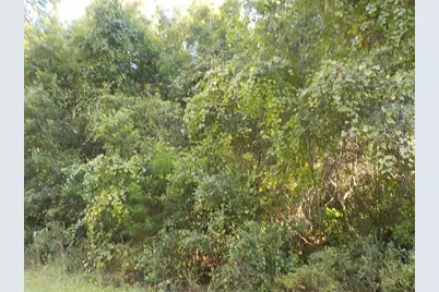 11641 N Kenlake Circle, Dunnellon, FL 34434 - Photo 4