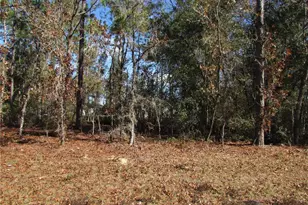 Lot 18 SW 156 St, Ocala, FL 34473 - Photo 1