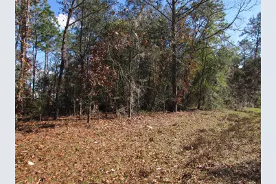 Lot 18 SW 156 Street, Ocala, FL 34473 - Photo 4