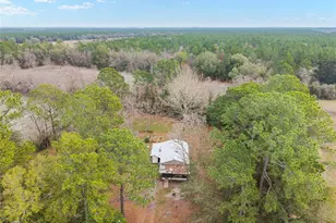 11375 SE 21st Ave, Starke, FL 32091 - Photo 2