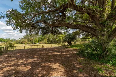 6124 NW 160th Street, Reddick, FL 32686 - Photo 34