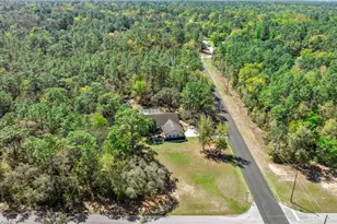 221 N Nashville Ave, Hernando, FL 34442 - Photo 38