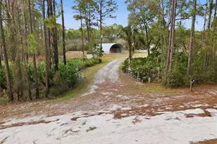 104 Ferncreek Dr, Georgetown, FL 32139 - Photo 40