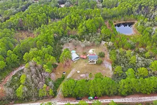 104 Ferncreek Dr, Georgetown, FL 32139 - Photo 46