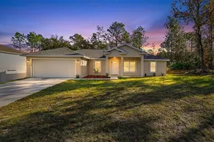 8833 N Spartan Dr, Citrus Springs, FL 34433 - Photo 1