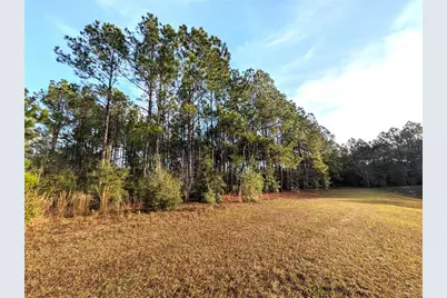 143 S Kensington Avenue, Lecanto, FL 34461 - Photo 4