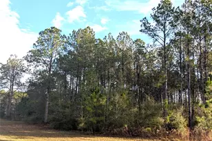 143 S Kensington Ave, Lecanto, FL 34461 - Photo 1