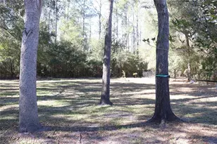 11778 SW 230th Avenue Rd, Dunnellon, FL 34431 - Photo 10