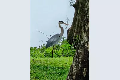 7961 W Riverbend Road, Crystal River, FL 34428 - Photo 32