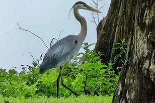 7961 W Riverbend Rd, Crystal River, FL 34428 - Photo 32
