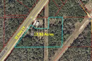 19051 US-19, Inglis, FL 34449 - Photo 1