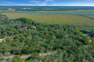 16731 SE 181st Terrace, Weirsdale, FL 32195 - Photo 46