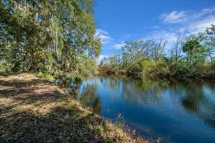 16731 SE 181st Terrace, Weirsdale, FL 32195 - Photo 42