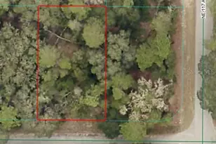 NE 239th St, Fort Mc Coy, FL 32134 - Photo 1