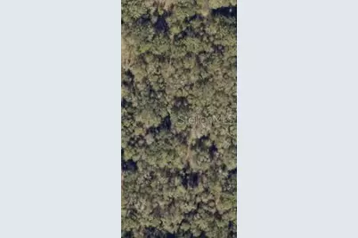 0 SW Blanton Lane, Lake City, FL 32024 - Photo 1