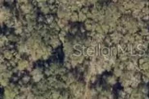 0 SW Blanton Ln, Lake City, FL 32024 - Photo 1