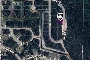 1238 Baltic Dr, Kissimmee, FL 34759 - Photo 1