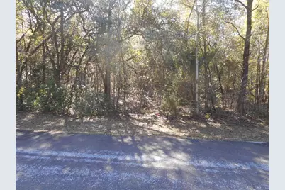 609 N Brighton Road, Lecanto, FL 34461 - Photo 2