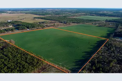 Se St Rd 121, Morriston, FL 32668 - Photo 4