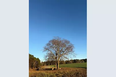 Se St Rd 121, Morriston, FL 32668 - Photo 2