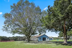 19331 E Levy St, Williston, FL 32696 - Photo 6