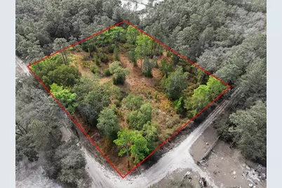 000 SW 151st Street, Dunnellon, FL 34432 - Photo 2