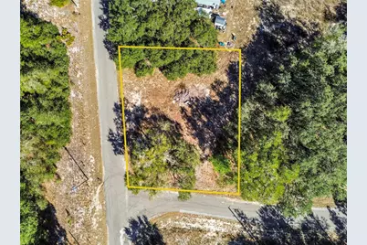 0 Guava Terrace Place & Bay Place Run, Ocklawaha, FL 32179 - Photo 6